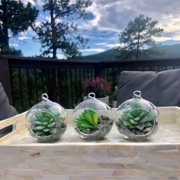 Set of 3 succulent terrariums - Picture 15 of 16